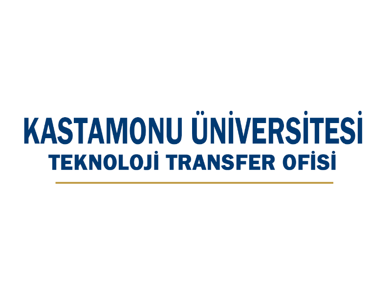 kastamonu tto